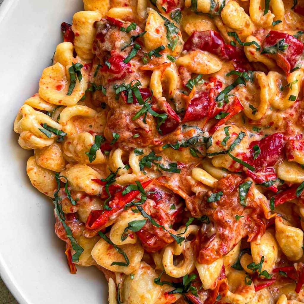 A closeup of the creamy tomato and red pepper pasta.