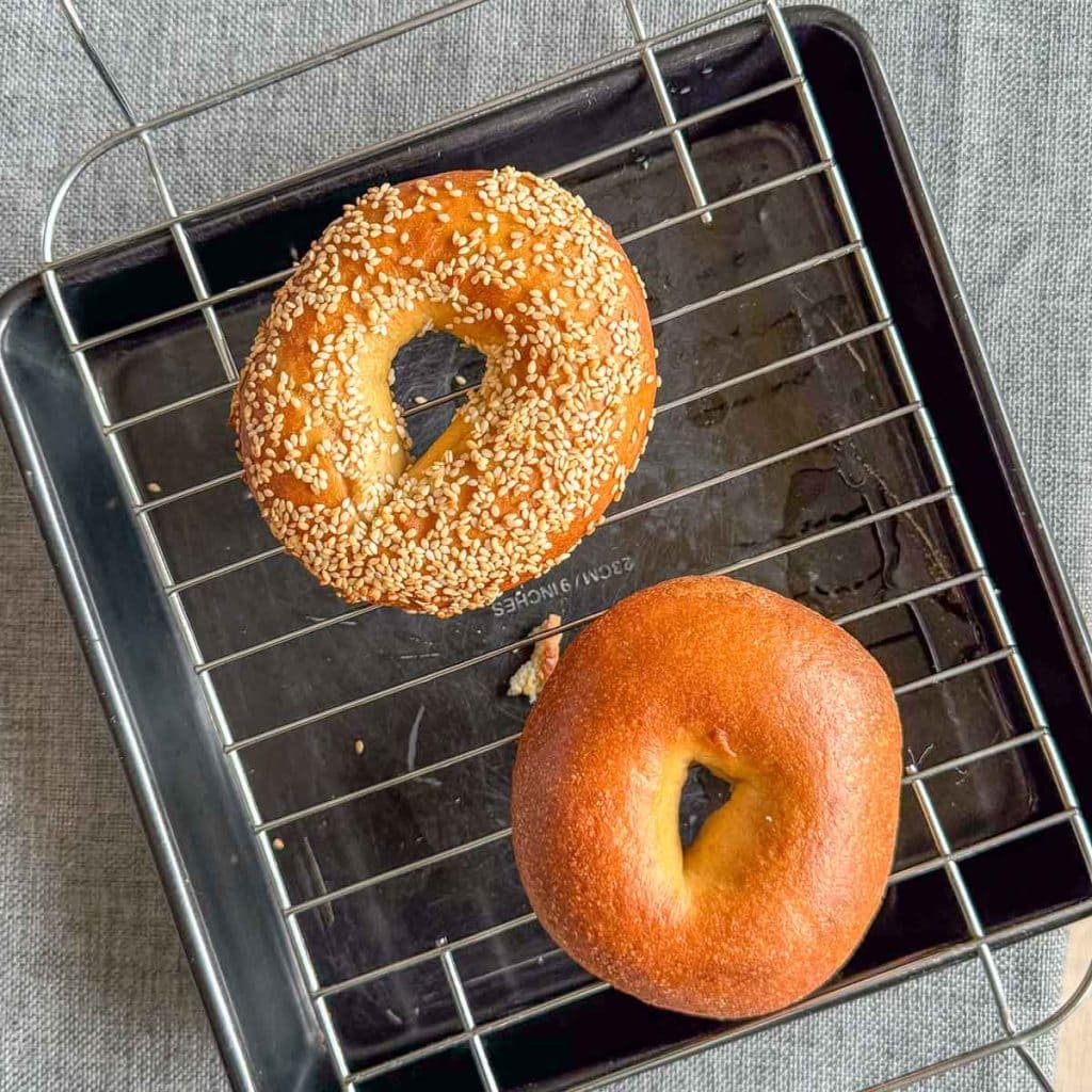 Two homemade New York bagels, one plain, the other sesame.