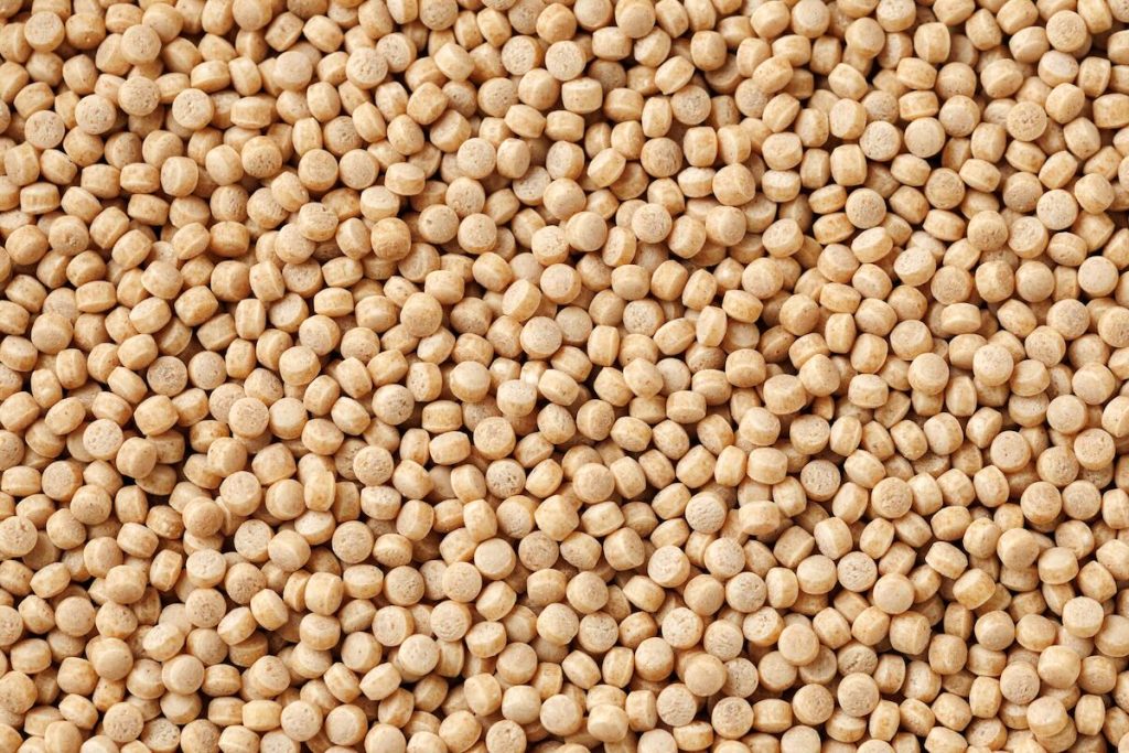 A closeup shot of wholewheat giant couscous, which is perfect for soaking up the juices from the green beans in tomato sauce. 