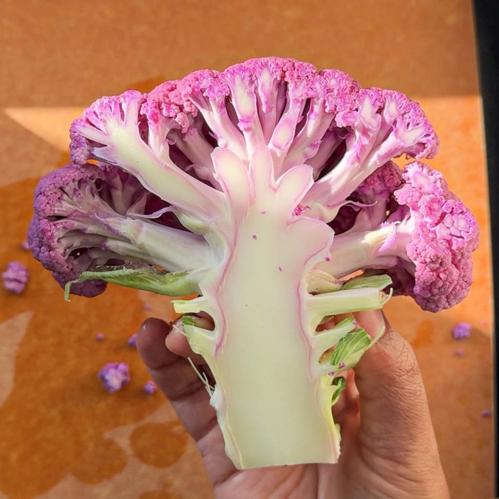 Cauliflower cross section - how stunning!